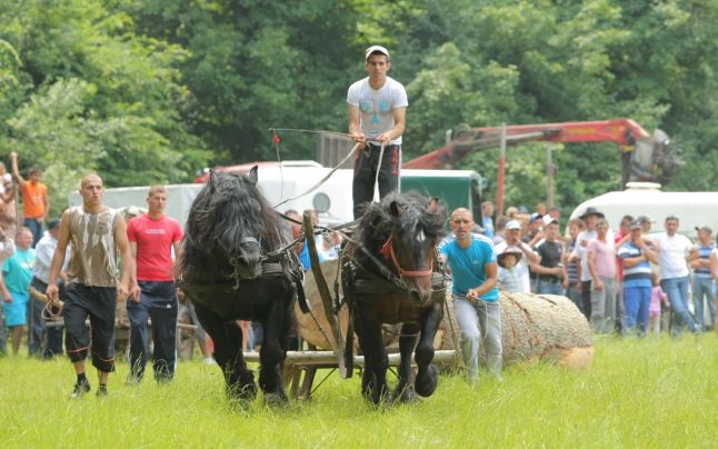 Sunt în desfăşurare Zilele Râşnovului