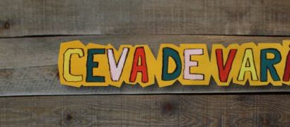 Festivalul „Ceva de vară” este la cea de-a II-a ediție