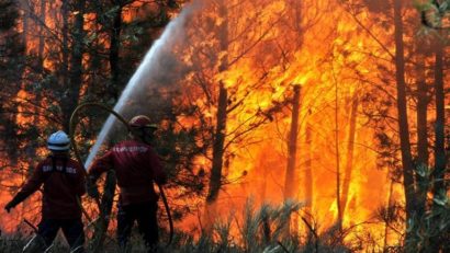 Incendiile de pădure au provocat pagube de aproape 1,2 milioane de lei