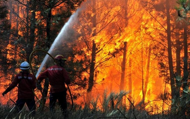 Incendiile de pădure au provocat pagube de aproape 1,2 milioane de lei Incendiile de pădure au provocat pagube de aproape 1,2 milioane de lei