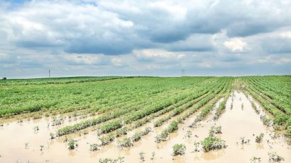 66,5 milioane de euro pentru urmările inundaţiilor din România, Bulgaria şi Italia