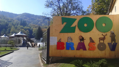 Noi locatari la ZOO Braşov