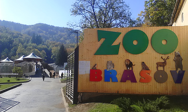 Noi locatari la ZOO Braşov Noi locatari la ZOO Braşov