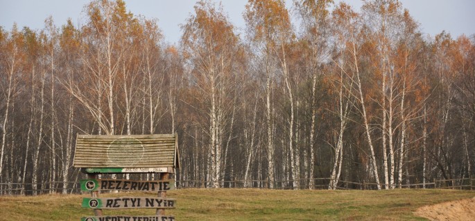 Cinci arii naturale protejate din judeţul Covasna, cuprinse într-un proiect European Cinci arii naturale protejate din judeţul Covasna, cuprinse într-un proiect European