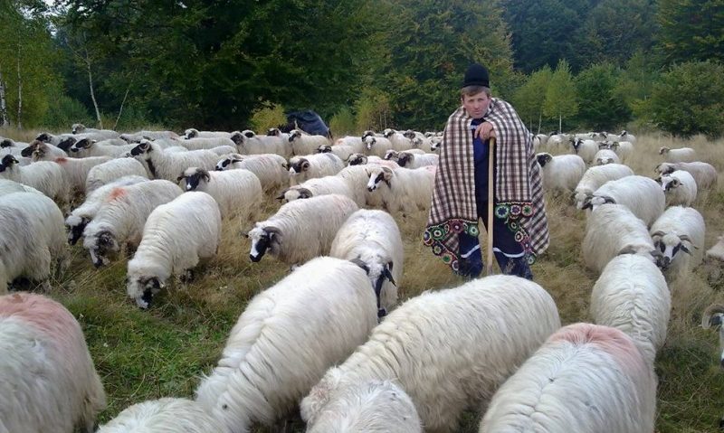 Pe cărarea dorului cu Andrei Romanică