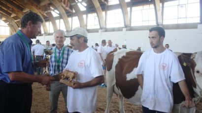 Expoziție națională de taurine, la Tîrgu-Mureș