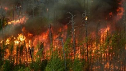 Pompierii militari şi lucrătorii silvici au reluat în această dimineaţă acţiunile de stingere a incendiului din Munții Retezat