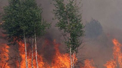 Apel către populație pentru prevenirea incendiilor de pădure