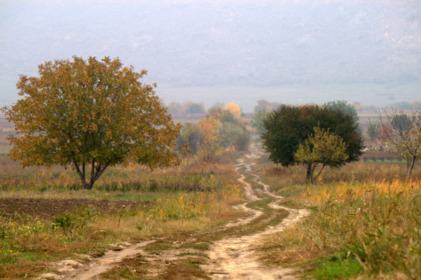 Pe cărarea dorului, cu Andrei Romanică Pe cărarea dorului, cu Andrei Romanică
