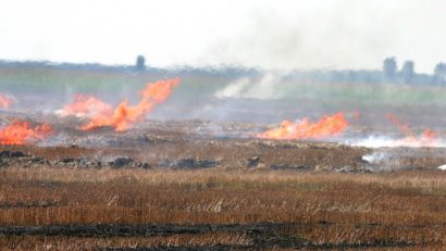 Fermierii care incendiază miriştile riscă să nu mai primească subvenţii de la APIA