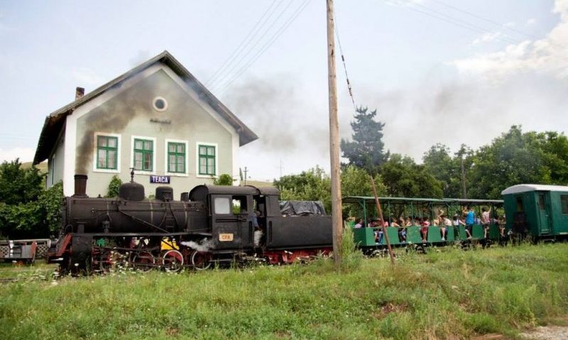 Centenarul Mocăniței Transilvaniei, de Sântămărie Centenarul Mocăniței Transilvaniei, de Sântămărie