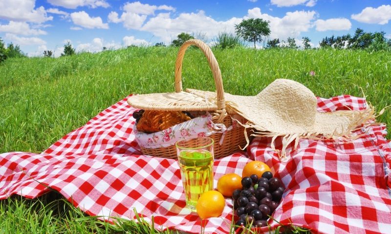 Atenție unde faceți picnic! Atenție unde faceți picnic!