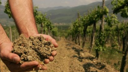 Guvernul pregăteşte o strategie pe termen mai lung pentru combaterea secetei