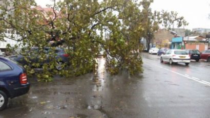 Trei copaci şi cinci stâlpi au căzut ieri în judeţul Mureş