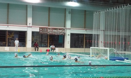 Contact cu polo-ul de mare valoare: Sportul Studenţesc Corona – Sport Management Verona : 5-15 Contact cu polo-ul de mare valoare: Sportul Studenţesc Corona – Sport Management Verona : 5-15