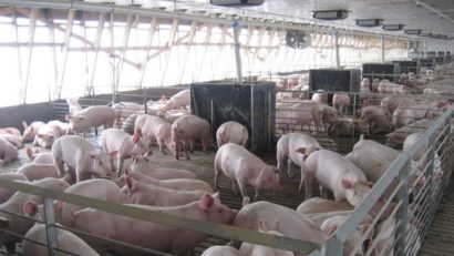 Mii de agricultori europeni merg astăzi la Bruxelles pentru a face presiune asupra Uniunii Europene