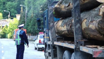 Un bărbat din Ibănești a fost prins cu peste 19 metri cubi de lemn fără acte proveniență