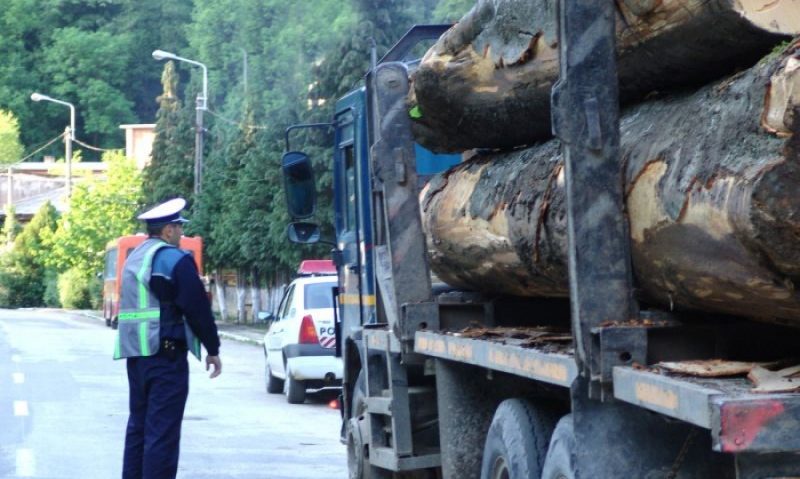 Un bărbat din Ibănești a fost prins cu peste 19 metri cubi de lemn fără acte proveniență Un bărbat din Ibănești a fost prins cu peste 19 metri cubi de lemn fără acte proveniență