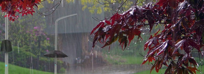 Meteo Meteo