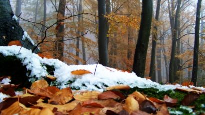 Precipitaţii excedentare din octombrie până la finele anului