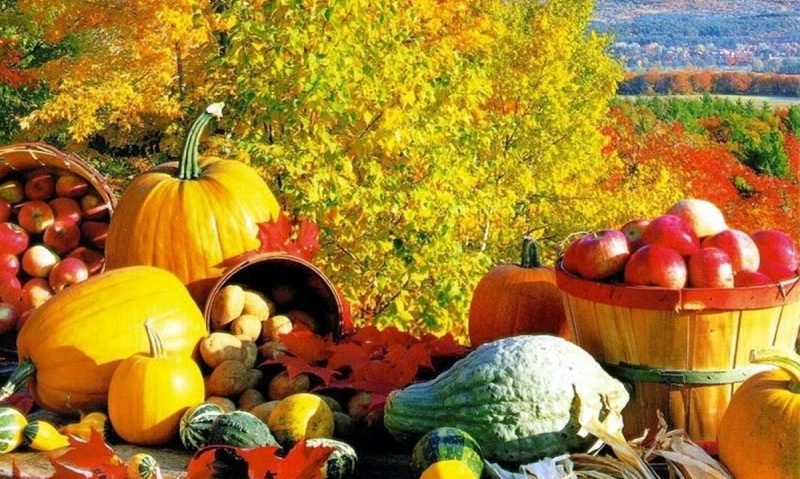 La Braşov se desfăşoară „Zilele Recoltei” La Braşov se desfăşoară „Zilele Recoltei”