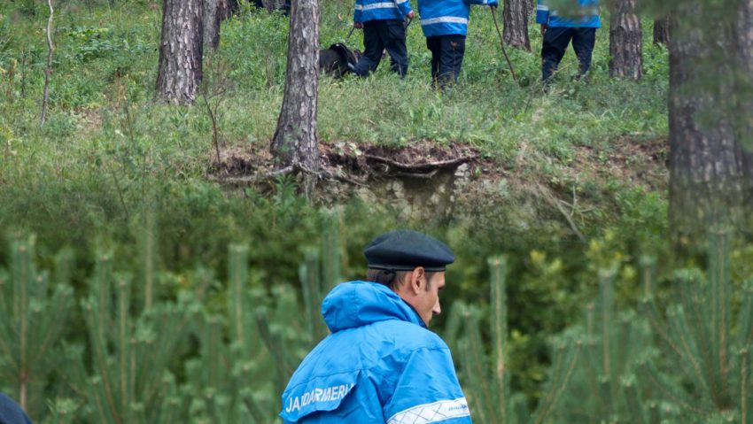 Hoți de lemne prinși de jandarmii mureșeni Hoți de lemne prinși de jandarmii mureșeni
