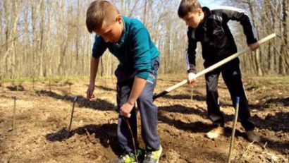 Cele mai multe cazuri de exploatare prin muncă din județul Mureș sunt în agricultură