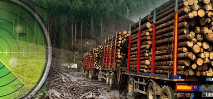 Radarul pădurilor începe să dea rezultate Radarul pădurilor începe să dea rezultate