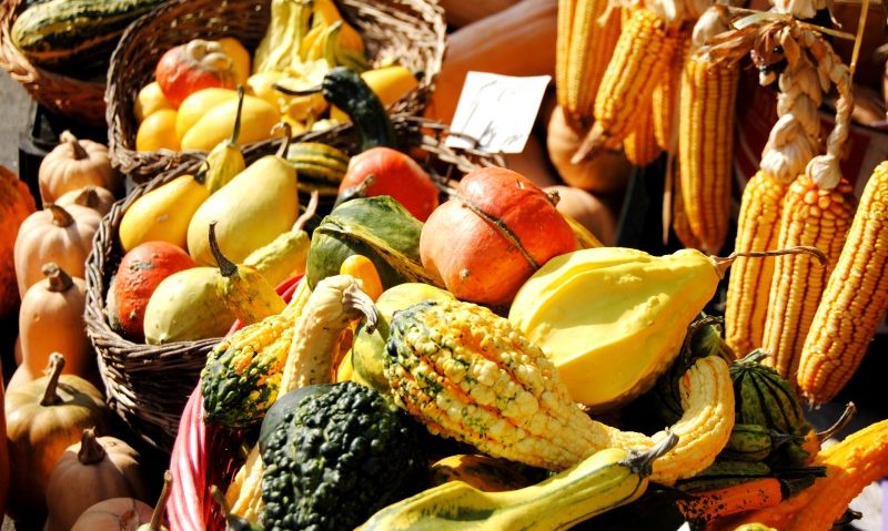 Tentații culinare la Sf.Gheorghe la acest sfârșit de săptămână Tentații culinare la Sf.Gheorghe la acest sfârșit de săptămână