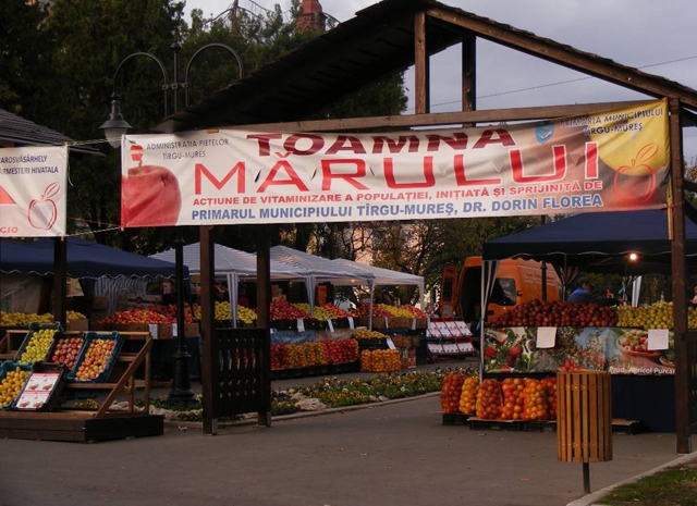 Tîrgumureșenii își vor putea cumpăra mere la preț de producător Tîrgumureșenii își vor putea cumpăra mere la preț de producător