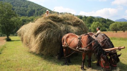 Olandezii sprijină localnicii din Vama Buzăului