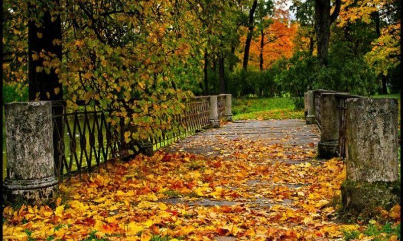 Vreme caldã pentru aceastã perioadã, mâine în Transilvania