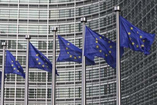 Consiliu de urgenţă al miniştrilor de interne şi ai justiţiei