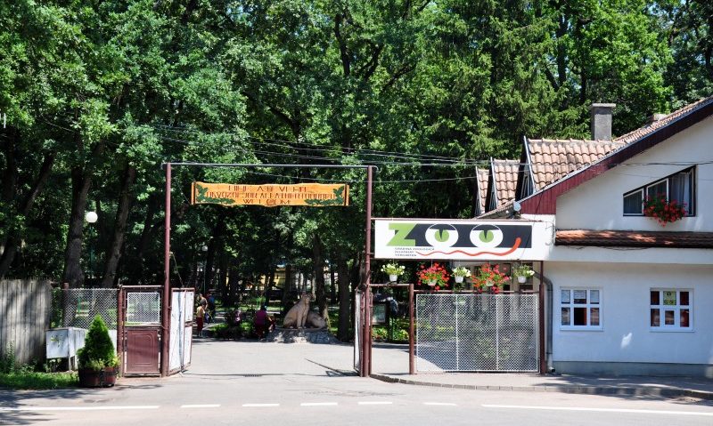 Peste 300.000 de vizitatori la Zoo Tîrgu-Mureș în anul 2016 Peste 300.000 de vizitatori la Zoo Tîrgu-Mureș în anul 2016