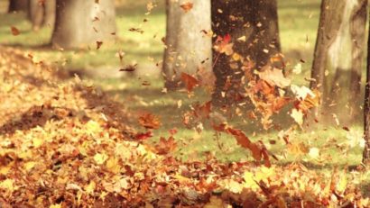 Vreme apropiată de normalul termic al perioadei în Transilvania