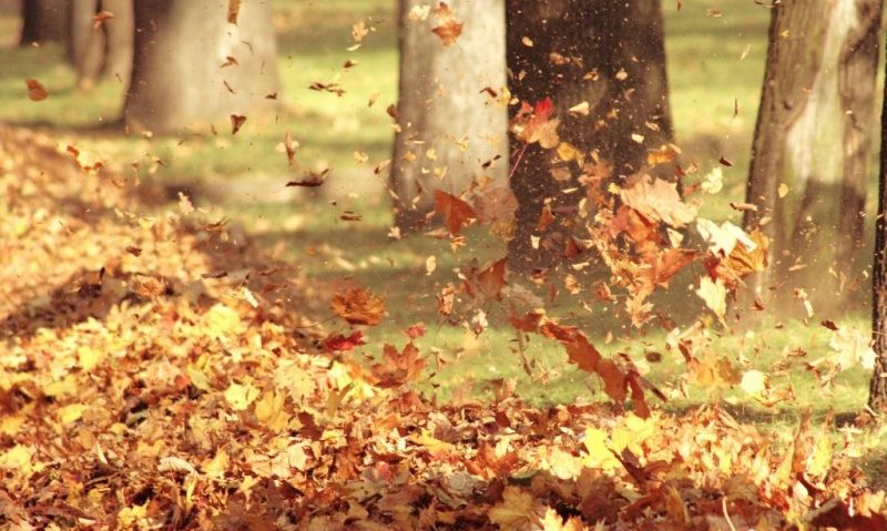 Vreme apropiată de normalul termic al perioadei în Transilvania Vreme apropiată de normalul termic al perioadei în Transilvania
