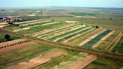 Peste 19.000 de fermieri mureșeni își primesc avansul pe suprafață