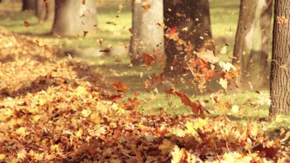 Vremea va fi în general frumoasã şi prea caldã pentru aceastã perioadã, mâine, în Transilvania