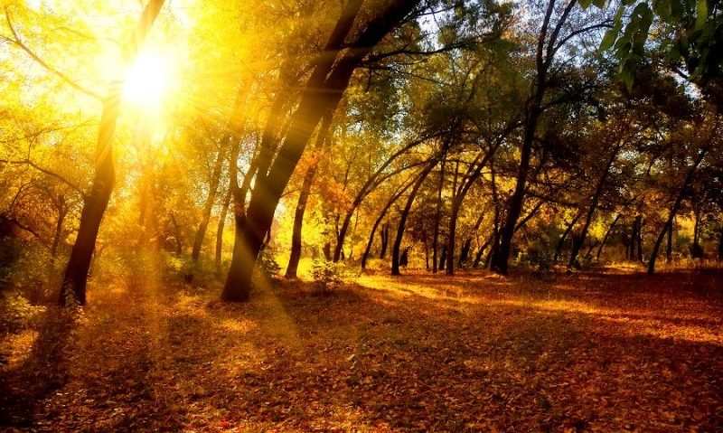 Vremea va fi deosebit de caldă pentru această perioadă şi în general frumoasă, mâine în Transilvania