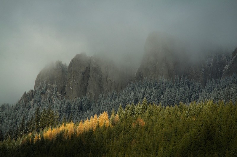 Meteo
