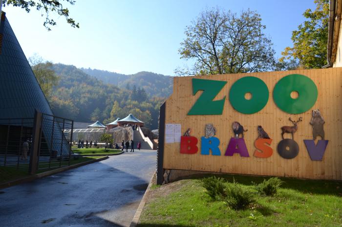 Cofetărie la Grădina Zoologică din Brașov Cofetărie la Grădina Zoologică din Brașov
