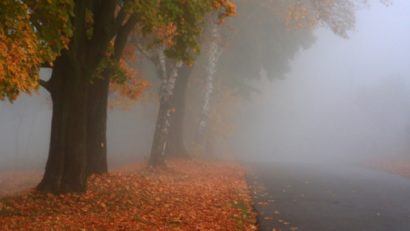 Ceață densă în mai multe județe