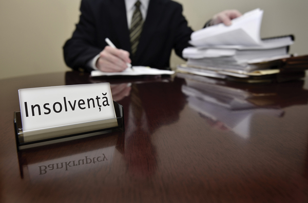Guvernul discută, în şedinţa de astăzi, eventuala amânare a aplicării prevederilor legii privind insolvenţa persoanelor fizice