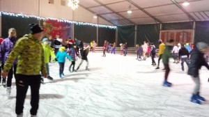 patinoar 2