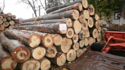 Peste 20 metri cubi de lemn au fost confiscaţi de polițiști