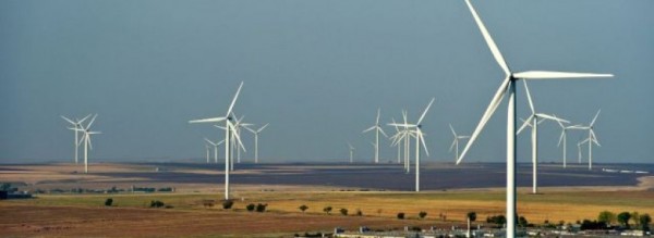 Producătorii de energie regenerabilă afirmă că vor intra în faliment