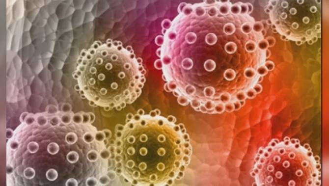 OMS îndeamnă statele din Europa să se pregătească pentru o eventuală epidemie provocată de virusul Zika
