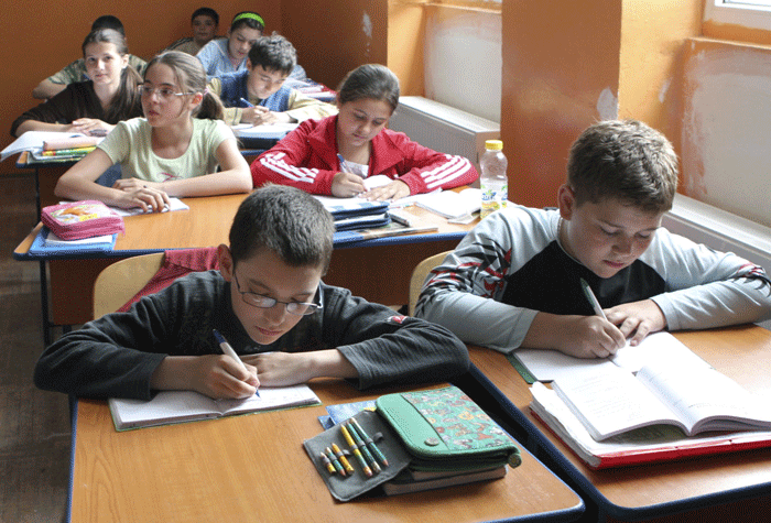 Orele de istorie ar putea fi reduse, printr-un proiect al Ministerului Educației