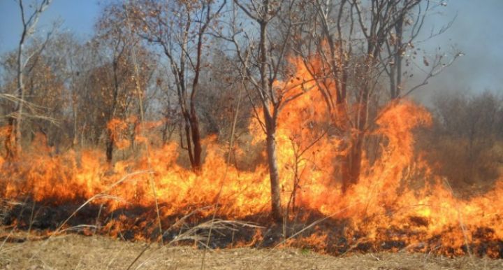 Grecia: Cod roşu de risc de incendii de pădure
