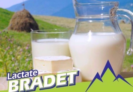 Patronul fabricii Brădet respinge ipoteza îmbolnăvirii copilului din Italia din cauza produselor sale